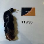 T1B/30 French curl braiding hair