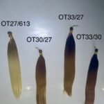 High Ombre Colour Bone Straight Braiding Hair