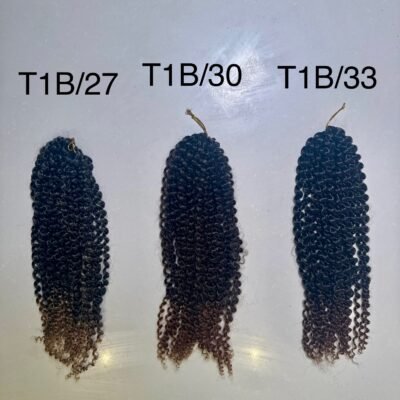 T Ombre Passion Twist Braiding Hair